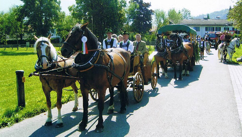 Kutsche und Stellwagen bei einer Umfahrt Bild Umfahrt bei Rosstag